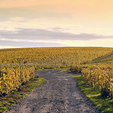 Best Western Le Relais Du Vigneron Blancs-Coteaux Eksteriør billede
